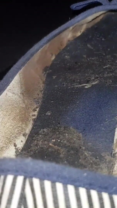 Epic moment from "I love to lick my dirty and smelly flats"