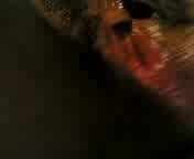 raqortizhernadez4