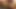 Hindi Sex audio Indian College Indian school girl of an Indian village took her into the forest and her fuck