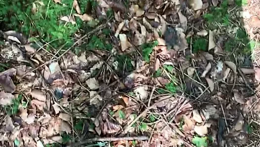 Im Wald abgespritzt - forest cum