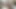 Stroking my big uncut cock so my neighbour can see me eating my own cum