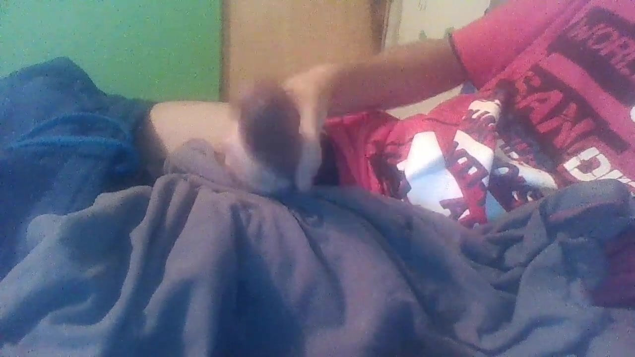 mi paja