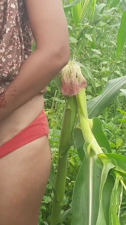 Must-see moment from "When the brother-in-law's mood was created in the field, he took his sister-in-law to the field and"