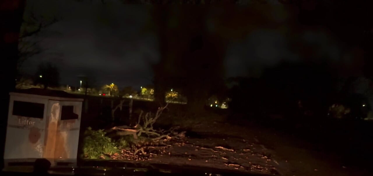 Снимаю из чулка моего тела и дрочу на обочине дороги