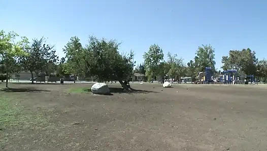 Ngajak ngentot habis-habisan di taman berujung sesi ngentot intens sama cewek semok rambut cokelat