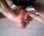 jakol