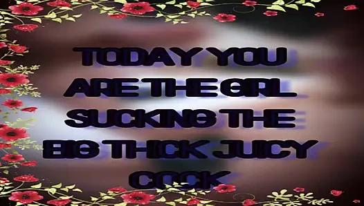 Today You Are the Girl Sucking the Big Thick Juicy Cock