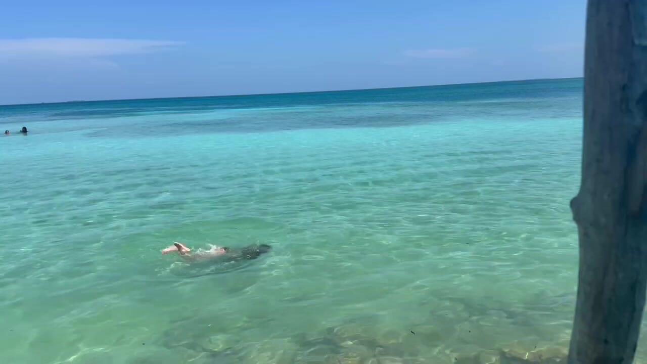 I'm here enjoying the sun and the sea, but I'm not going to lie... I love it when I notice that you can't stop looking at me.
