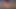 shaved girl 29