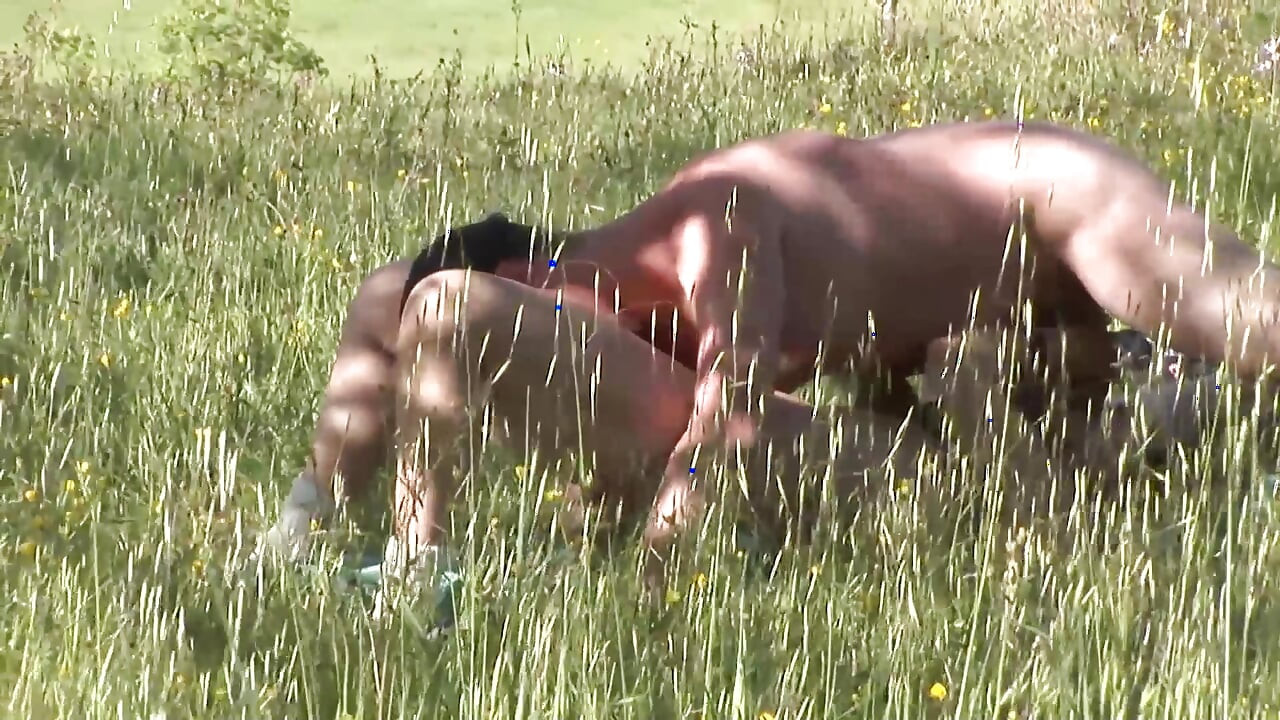 Italian exhibitionist couple fucking in the field on the grass