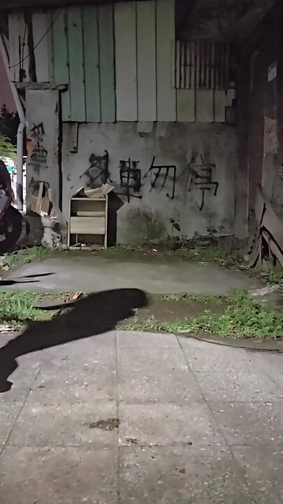 Shemale Ting Xuan Enjoys Solo Outdoor Fun