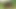 Got Fucked by 9 Hot Nigerian Guys