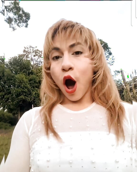 Show ao vivo 11 de novembro