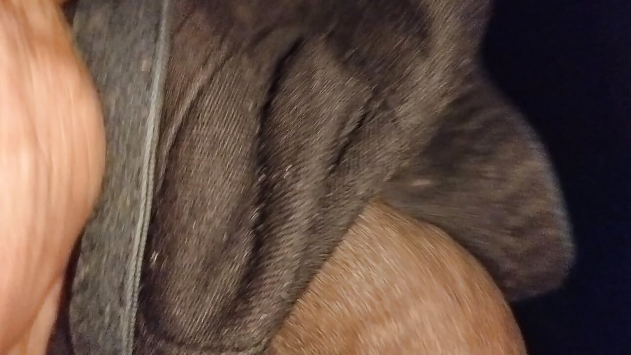 Shobha mallu aunty bra cumshots