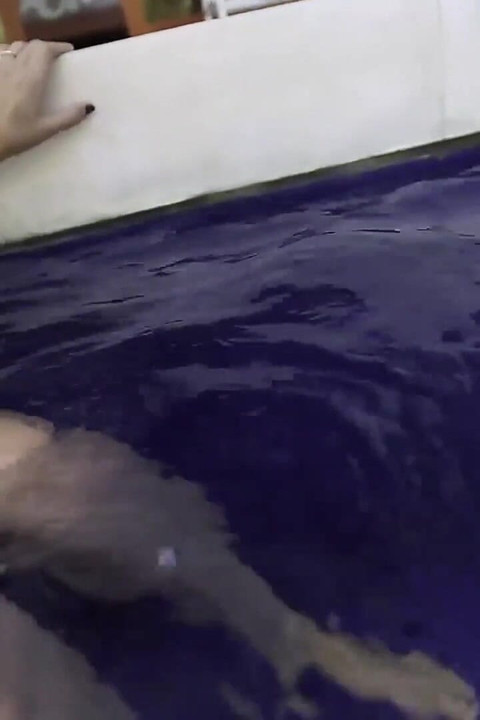 Johntronx - sexo en la piscina en primer plano con una hermosa nena amateur delgada tailandesa