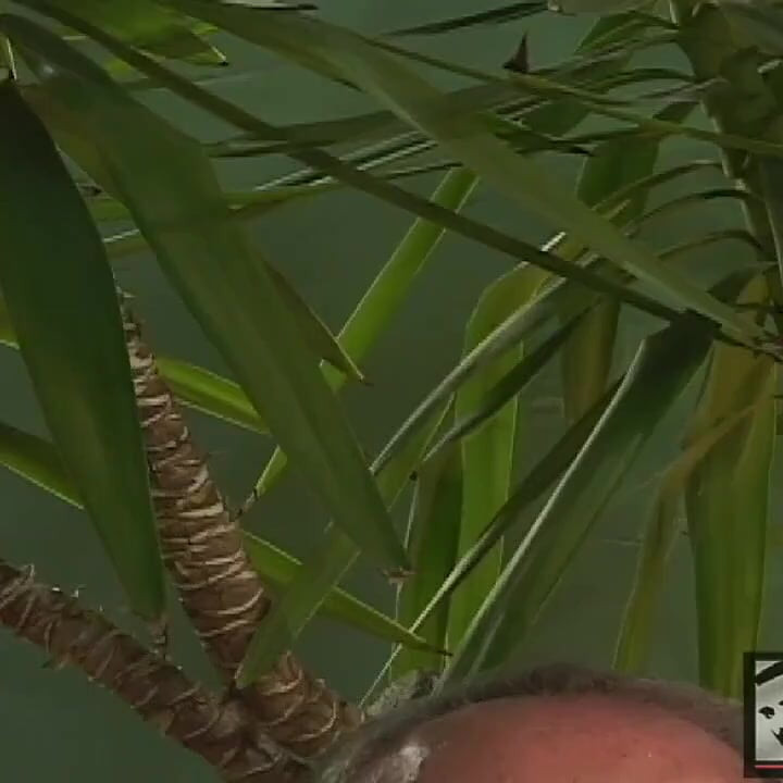Erik Sengaard