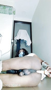 Pregled videozapisa