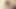 _x_family l yor helps loid to get laid l blowjob sex l x family sex animation