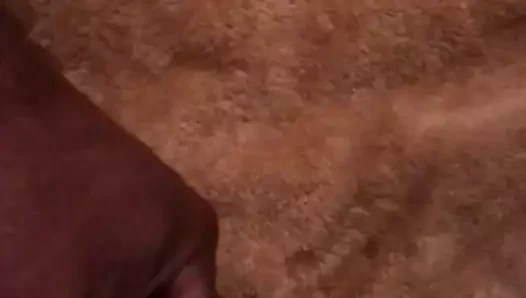 Benim horoz ağır çekim ile oynamak