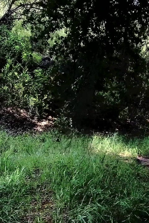 Outdoor Lesbian Content Creators