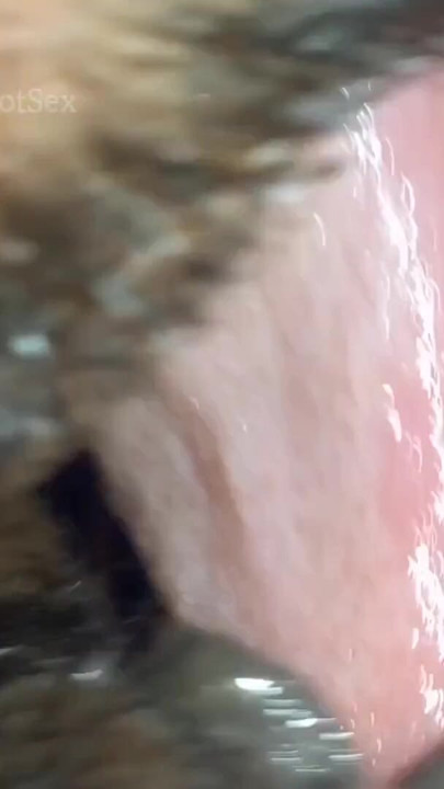 New 18 Couple Sex Sri Lanka - 18 Year Old Pussy | Clip 2