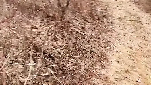 Ormanda Çok Havalı Işiyor