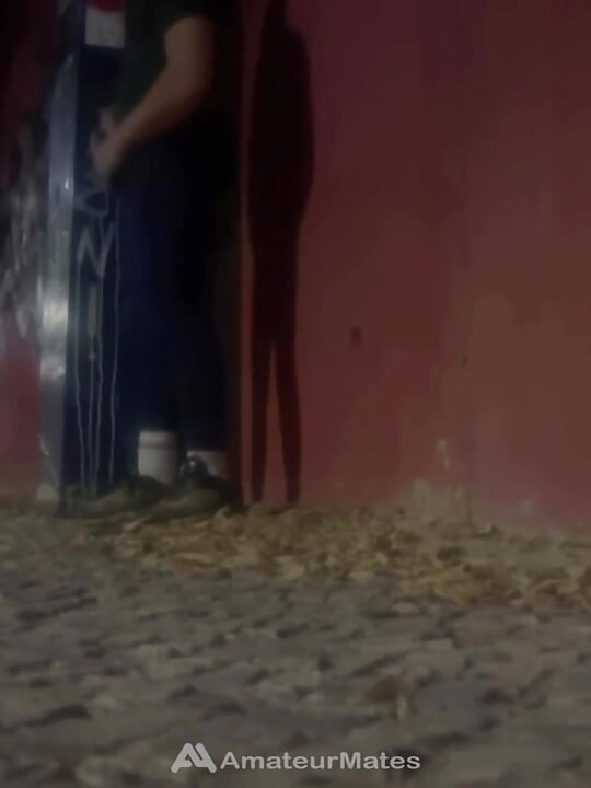 Homemade Compilation of Amateur Boys Flashing Their Cock in the Street