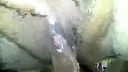 2373471