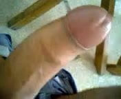 Me 03