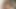 セクシーな黒檀の赤ん坊は巨大なコックが大好き