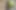Snake Catcher Gets Tricked and Fucked - Squirting and Cum Swallowing