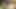 Kadınlar için gerçek porno senaryo