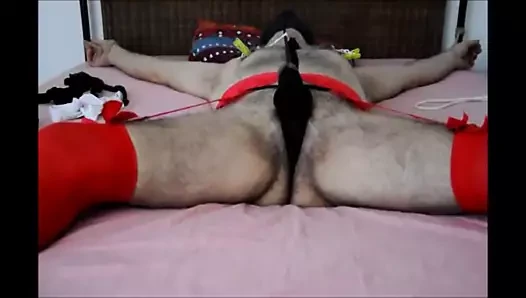 Gwendolyne sırrının 4'ü