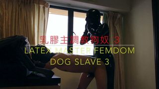 Lateksowy mistrz kobiecy pies niewolnik 3