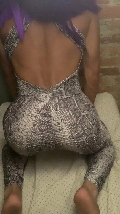 响尾蛇 1