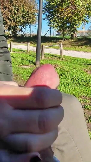 Unforgettable moment from "FLASHING my COCK in front a everyone in a PUBLIC PARK and my STEPDAUGHER HELPS me CUMSHOT - REAL"