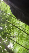 معاينة الفيديو