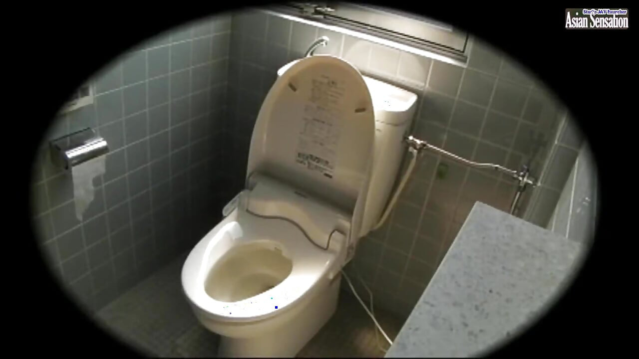 Stuck up Older Women - Toilet Masturbation Collection of 25 - Ep21
