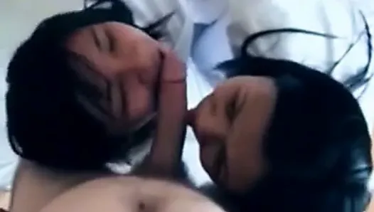 Asian medical students double blowjob