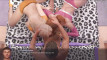 Pregled videozapisa