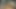 Desi sexy dance with my boyfriend, my boyfriend is very happy 🥰
