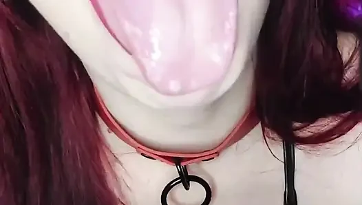 Gauchita-show! Auszeichnungen für die Schönste in einer Gemeinschaft!