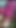 Jasmin Crossy Flashing Hot Legs & Thighs from Pink Baby Doll Dress