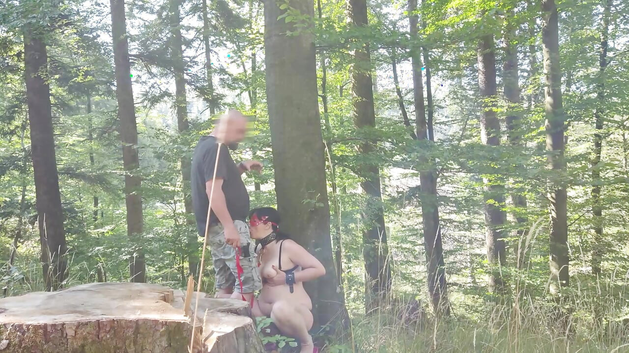 COMPILATION ESTREMA DI GREZZA