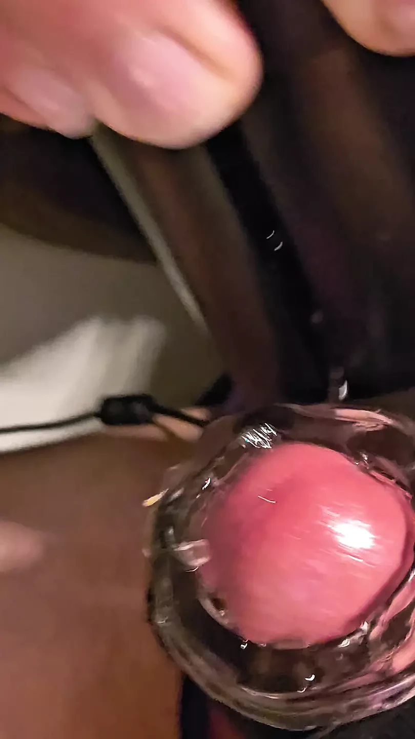 Extraño hambriento de leche ordeña mi polla cortada con lo práctico