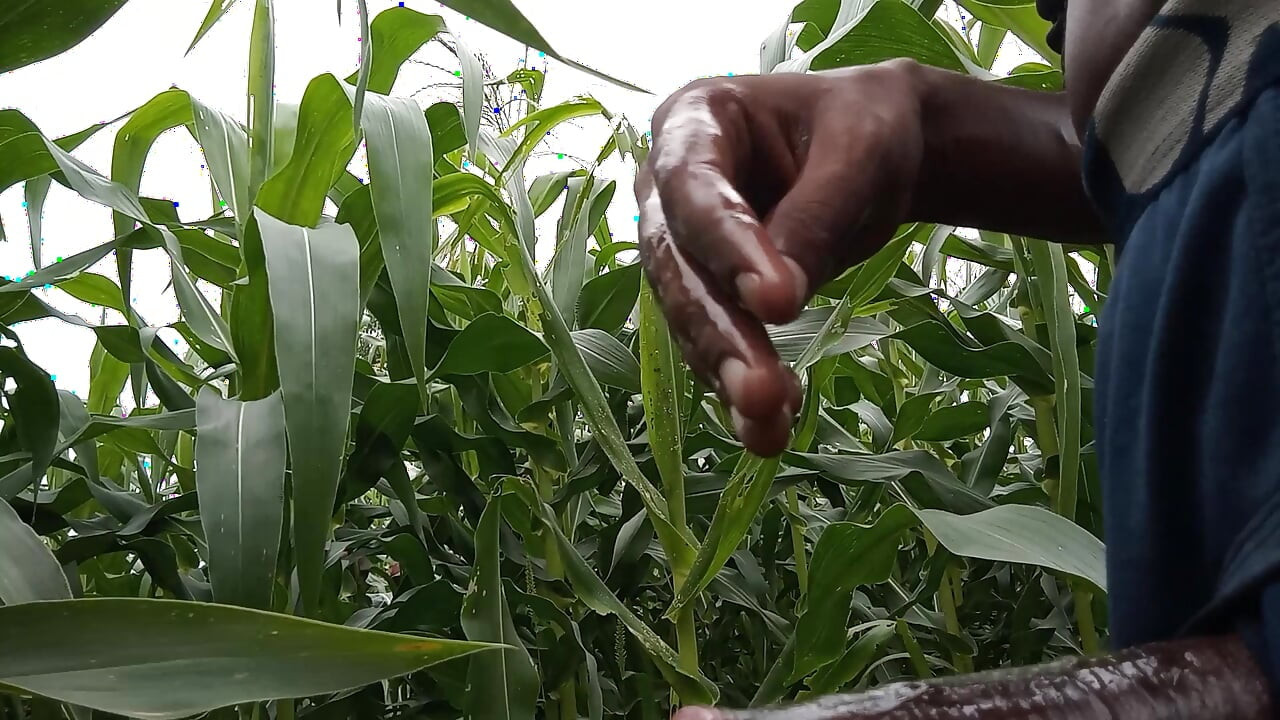 Makka ke khet me oil se malish apne lambe land ki