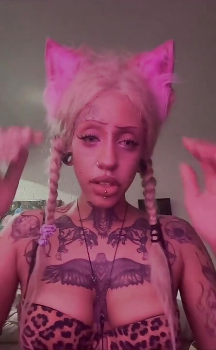 Who Wants More Kitty Girl?