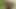 Wanking my Cock in the Forest and shooting a lot of Cum
