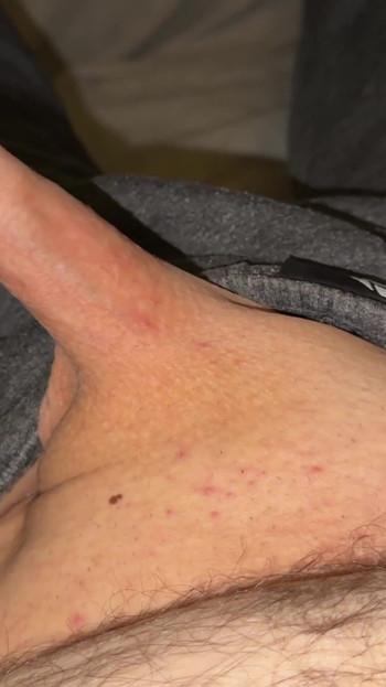 今日5回目のオナニーだ、俺の小さなチンコ |クリップ1