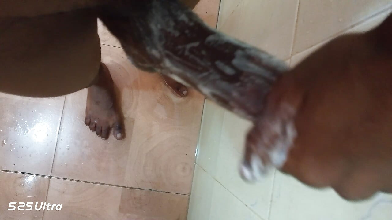 Pau preto